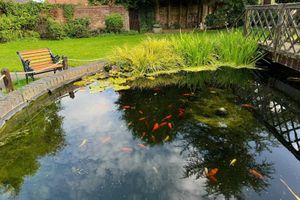 Alojamiento - The Manor Guesthouse