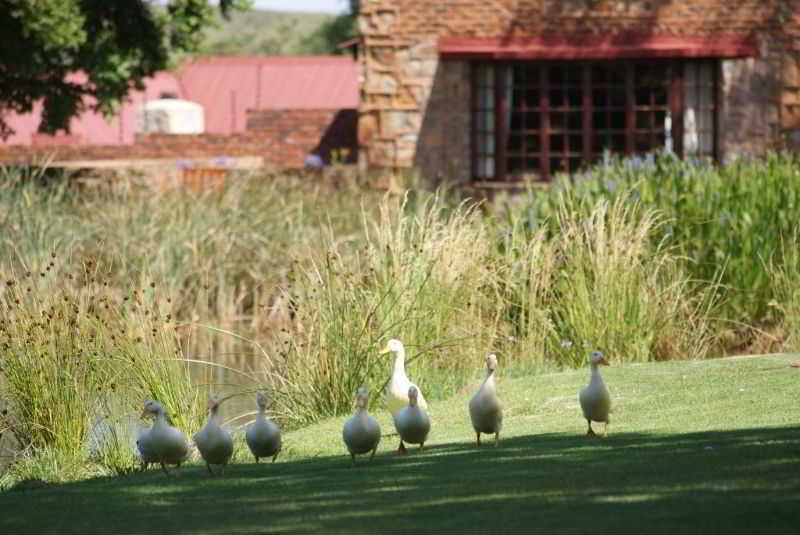 Instalaciones Recreativas Urban Hip Hotels- Critchley Hackle