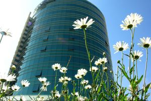 Alojamiento - Suites Camino Real