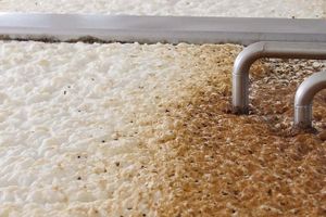 Actividad - Visita a la cervecería Cadejo