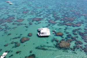 Actividad - Maracajaú Parrachos con buceo en lancha rápida