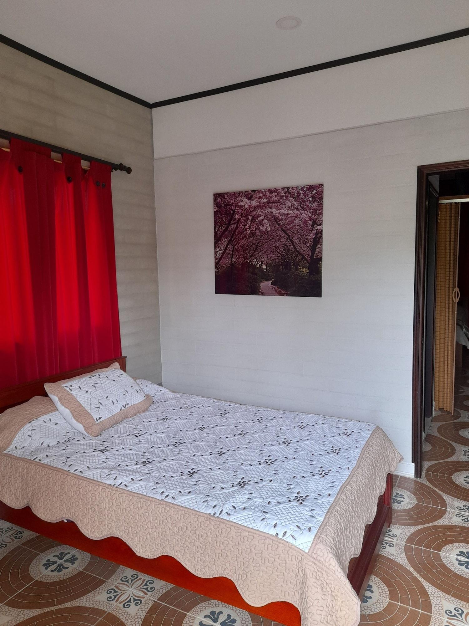 Comodidades del Alojamiento Hollywood Paradise Hotel