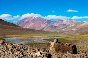 Actividad - San Juan: Tour por Alta Montaña en la zona de Calingasta