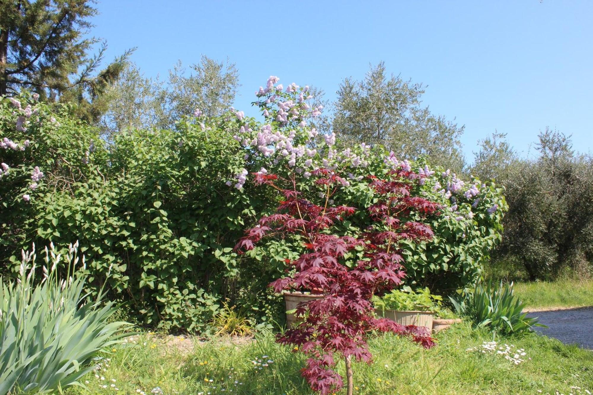 Comodidades del Alojamiento Bioagriturismo Podere Pretoia