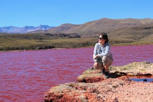 Actividad - Tour a Laguna Roja y Lagunas de colores