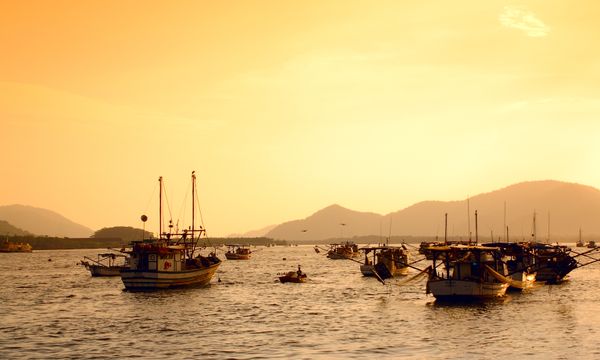 Maitinga