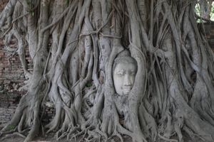 Actividad - Templos de Ayutthaya - Excursión de día completo con almuerzo