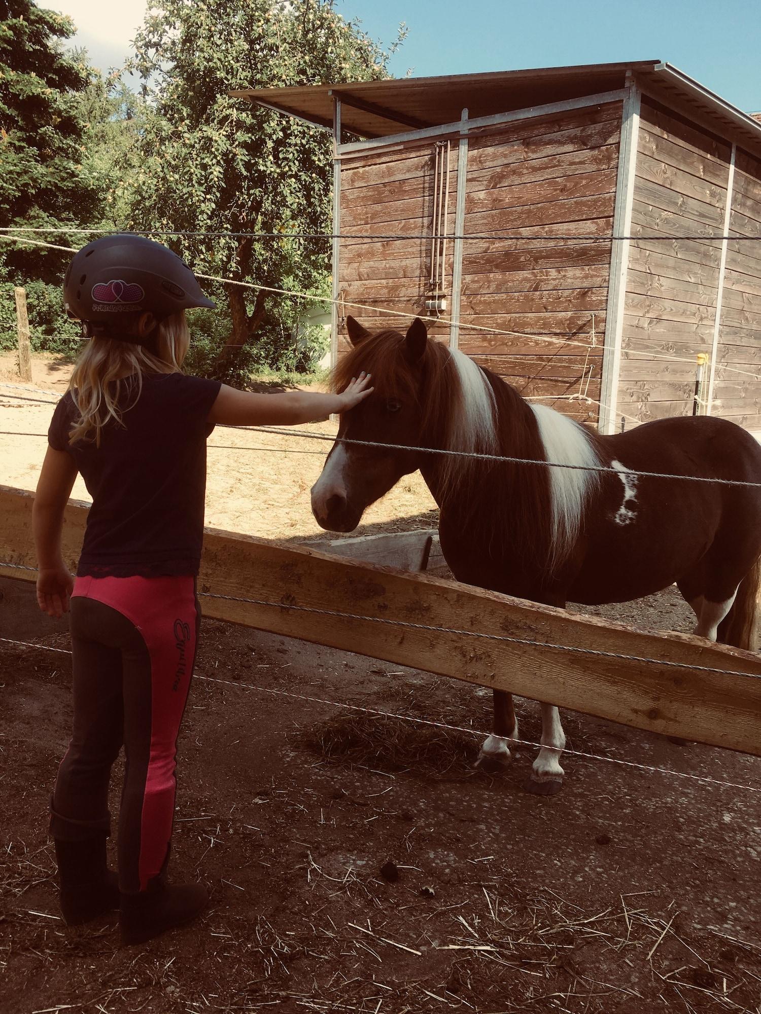 Instalaciones Recreativas Nürnberger Hof