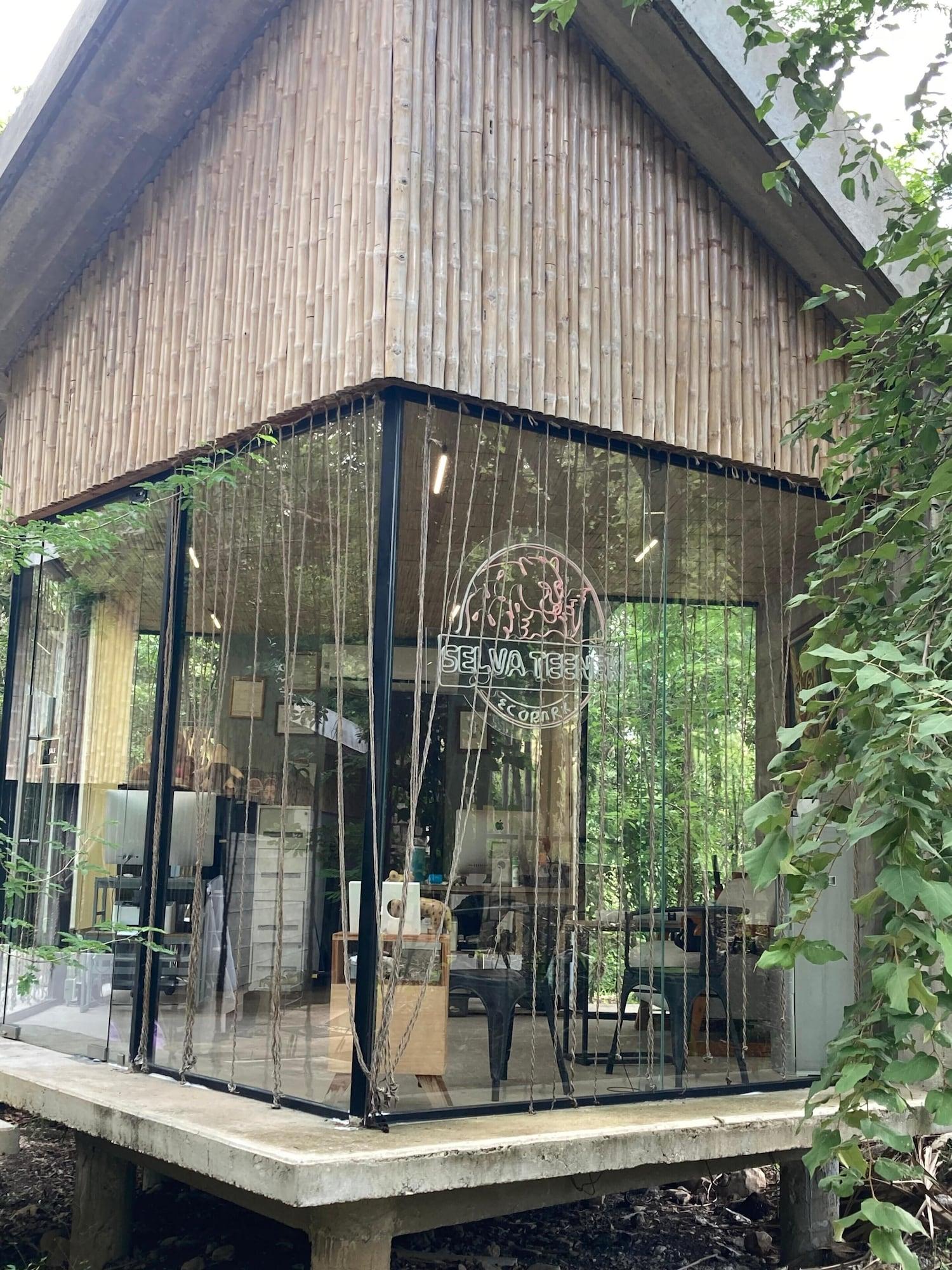 Vista Lobby Selva Teenek