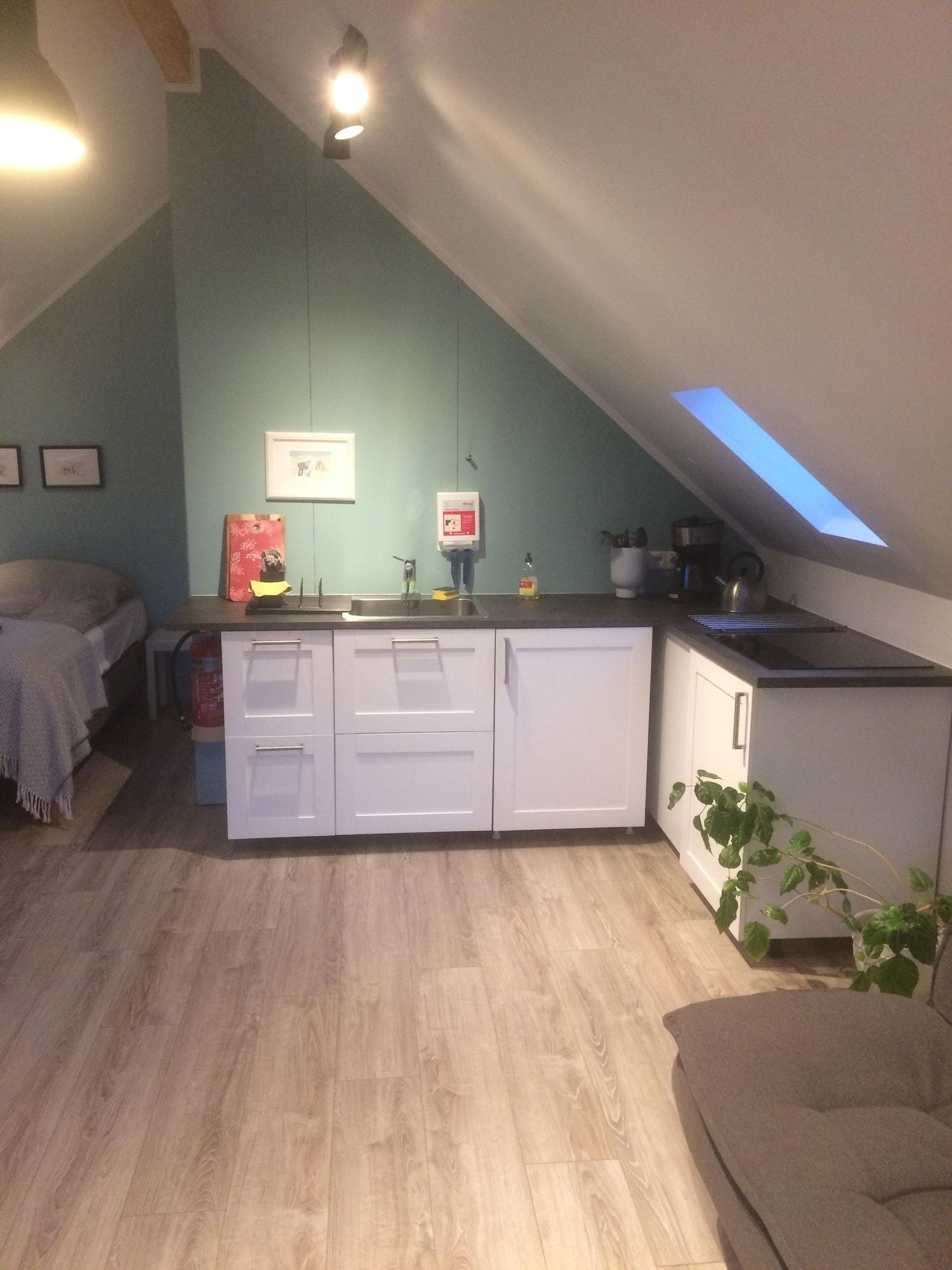 Equipamiento de Habitación Brúnir