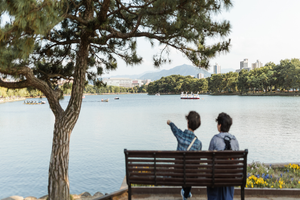 Actividad - Tour privado por Fukuoka con un local, lugares destacados y joyas ocultas, 100 % personalizado