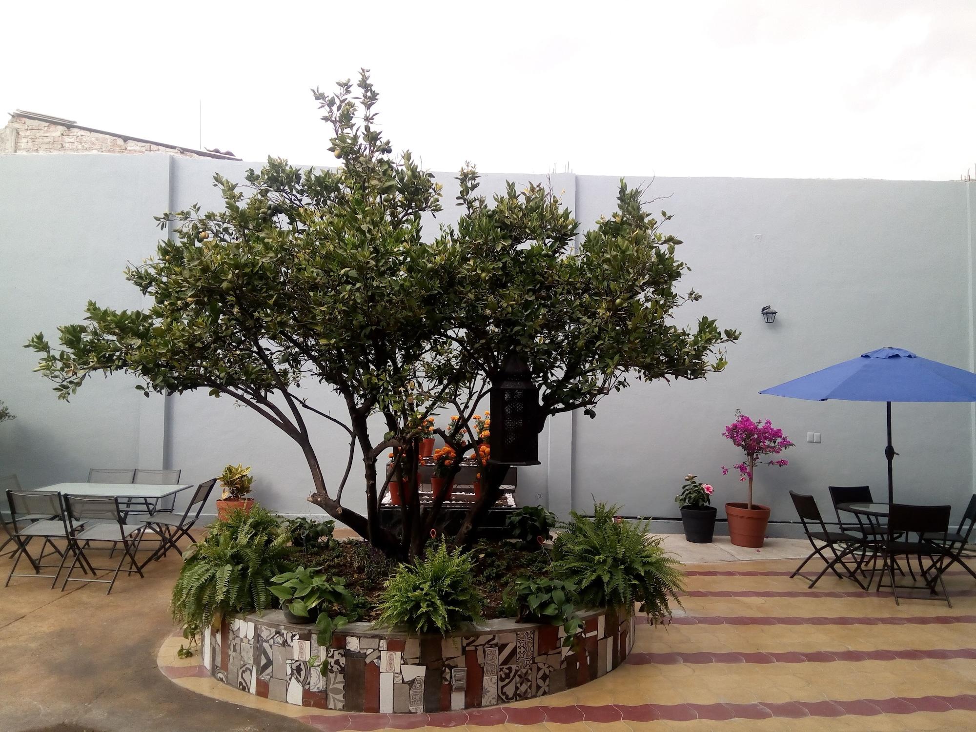 Equipamiento de Habitación Casa Massima Hotel