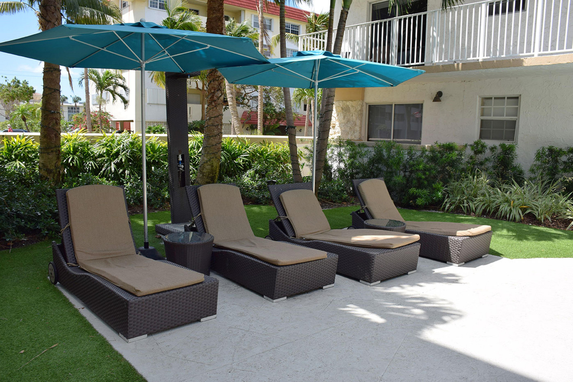 Varios Coral Reef at Key Biscayne