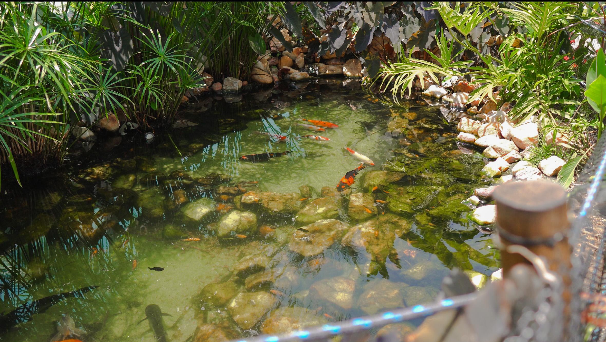 Instalaciones Recreativas Altiplano Hotel