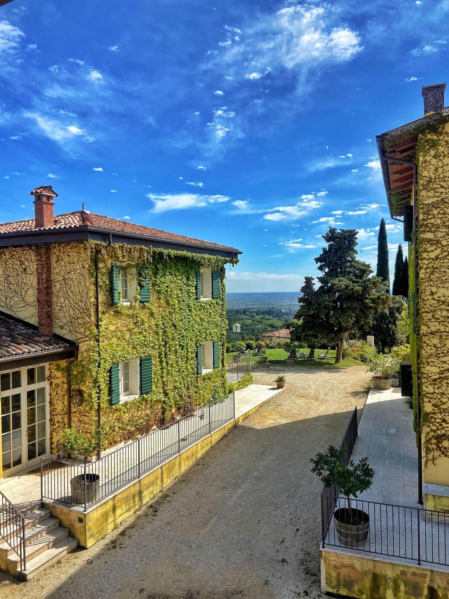 Varios La Vineria di San Mattia