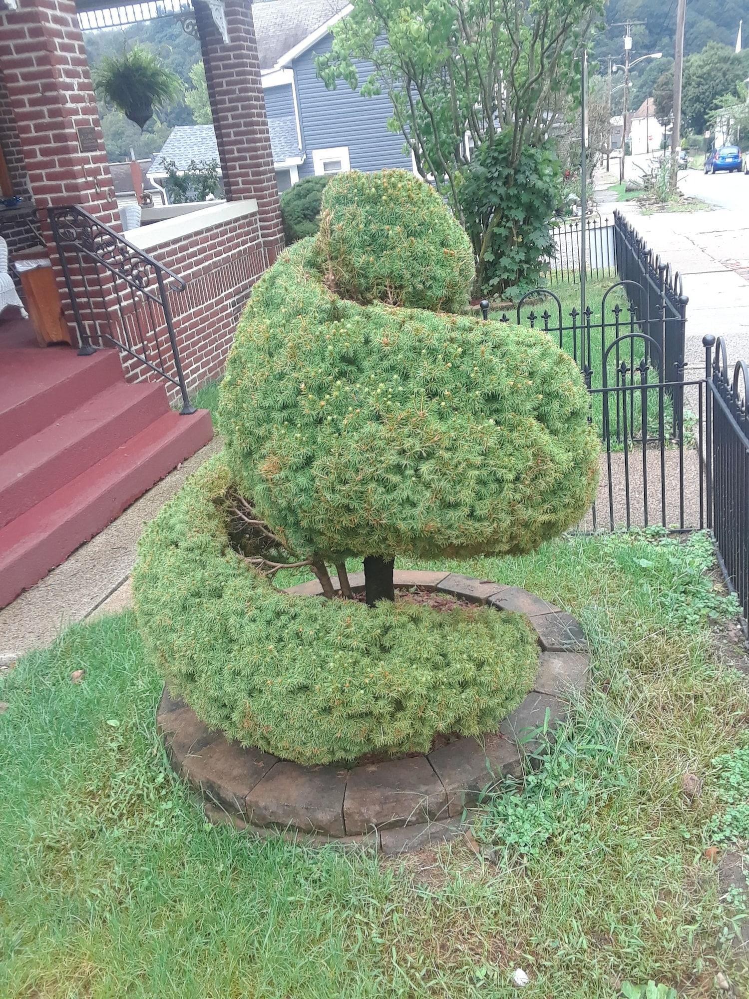 Vista Exterior The Old Parsonage Bed And Breakfast