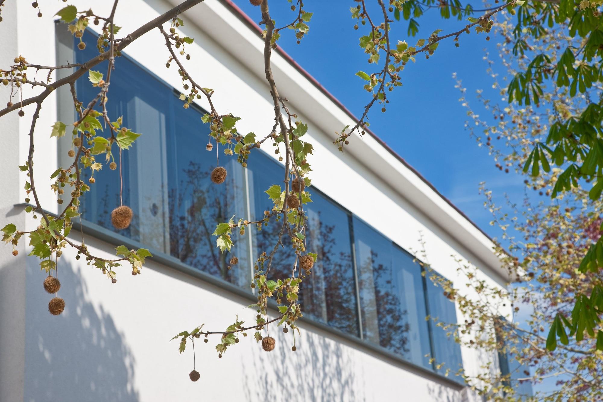 Vista Exterior Strandhotel Alte Donau