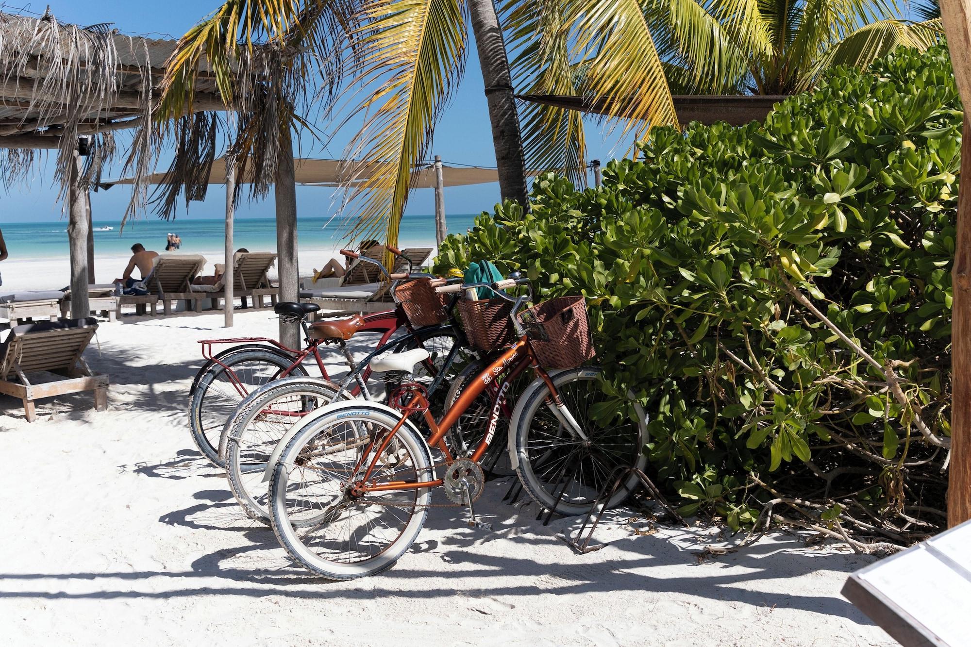 Bar/Salón Punta Caliza