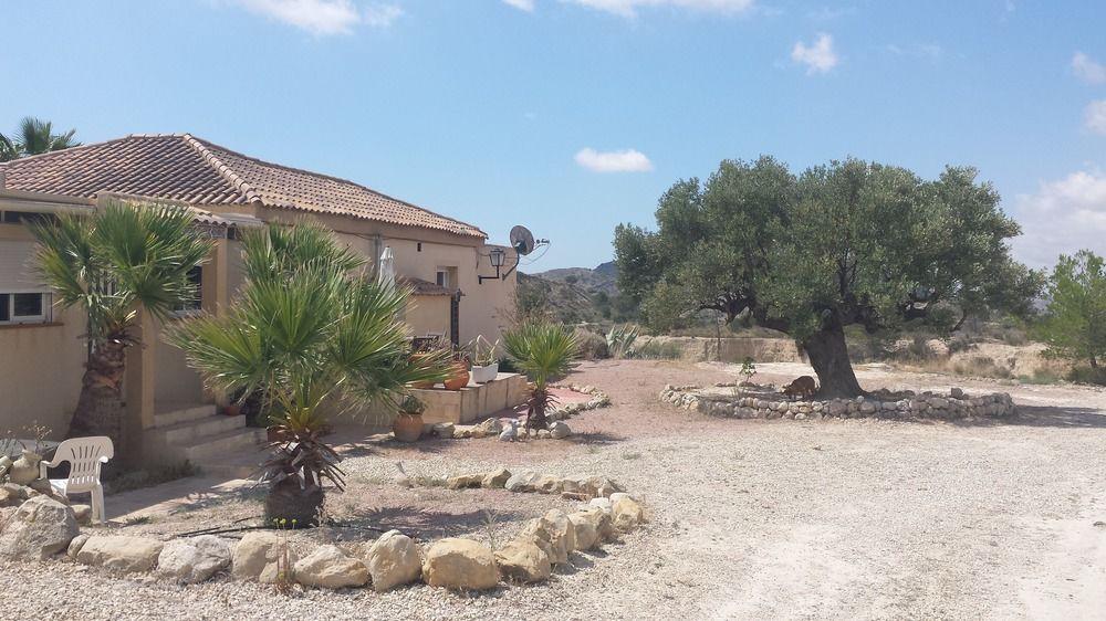 Vista Exterior Mas del Conill