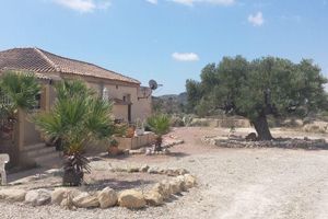 Alojamiento - Mas del Conill