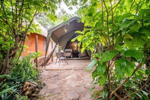 Alojamiento - Victoria Falls Backpackers