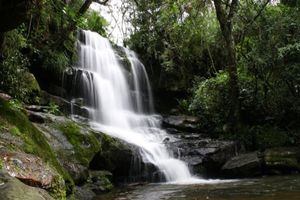 Actividad - Descubre el Parque Nacional Ybycui y el Museo de la Rosada – Tour de un día entero