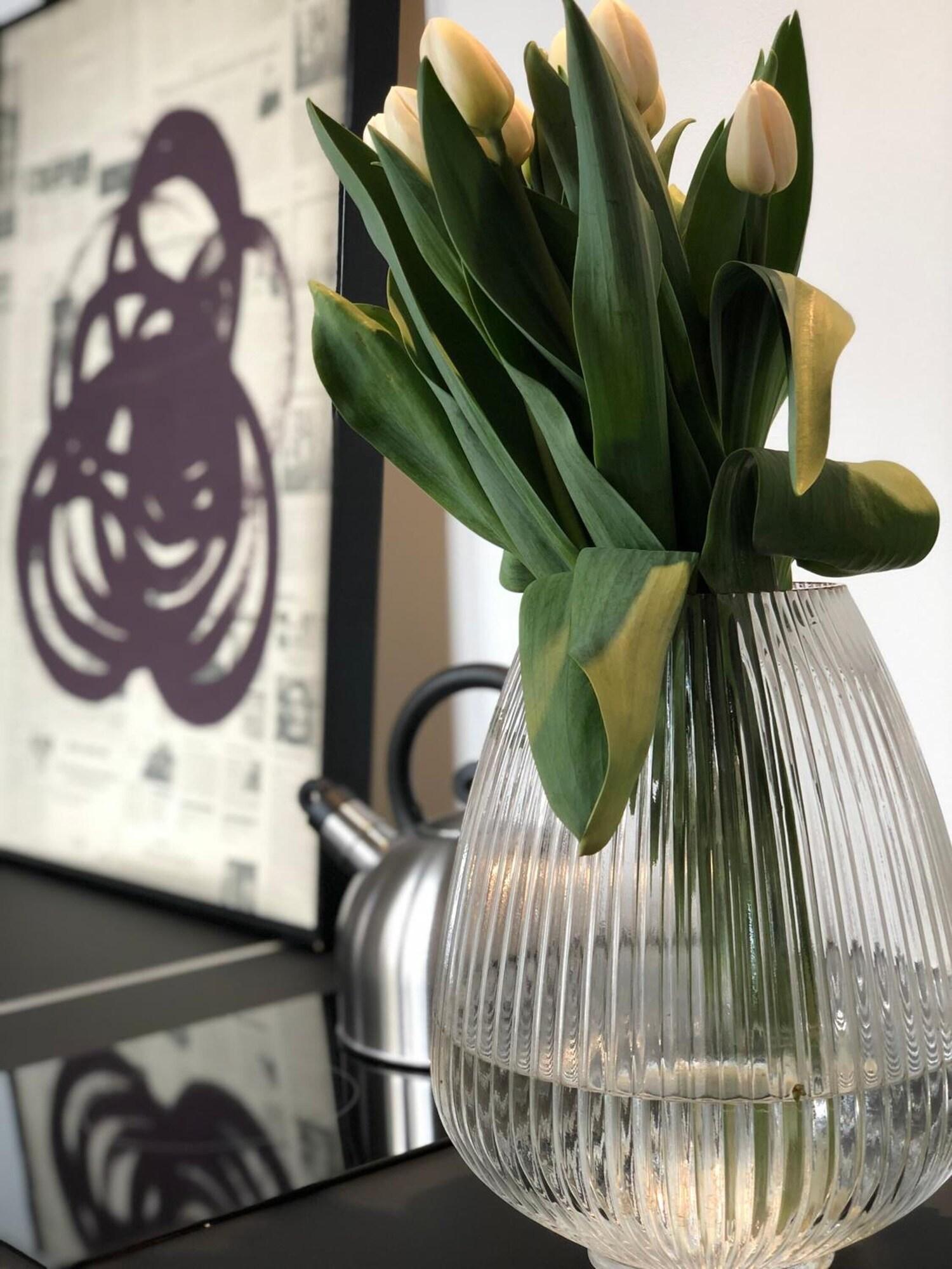 Comodidades del Alojamiento Casa Figa 39