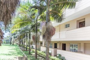 Alojamiento - Three Steers Hotel