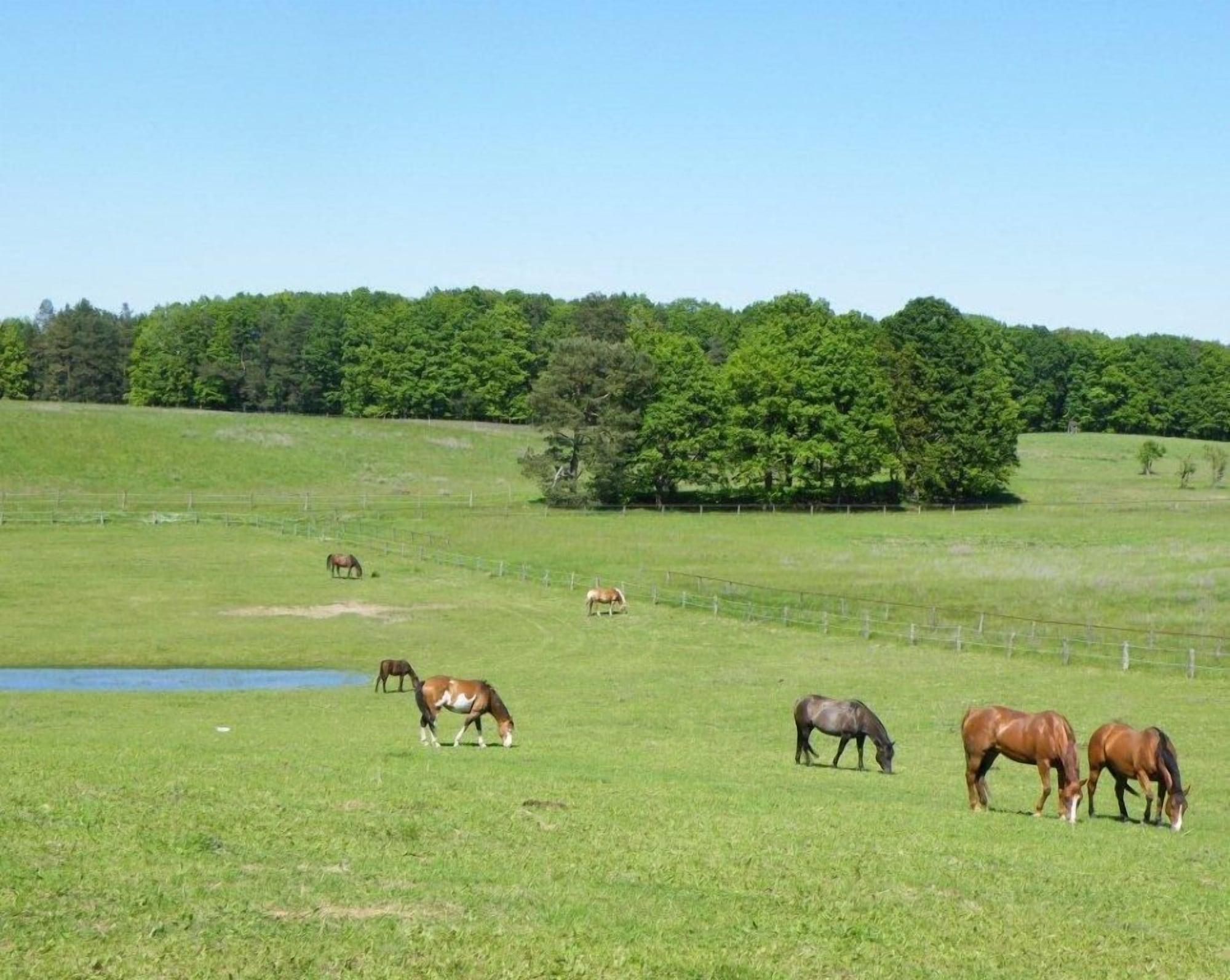 Campo de Golf Gut Sarnow
