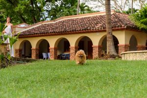 Alojamiento - Finca Hotel Guadalupe