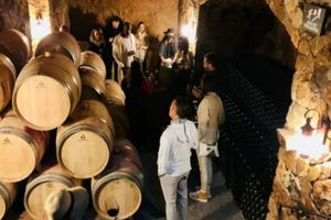 Actividad - Tour de cata de vinos en el Valle de Guadalupe