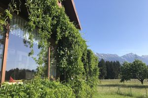 Alojamiento - Landhotel Gasthof Eichhof