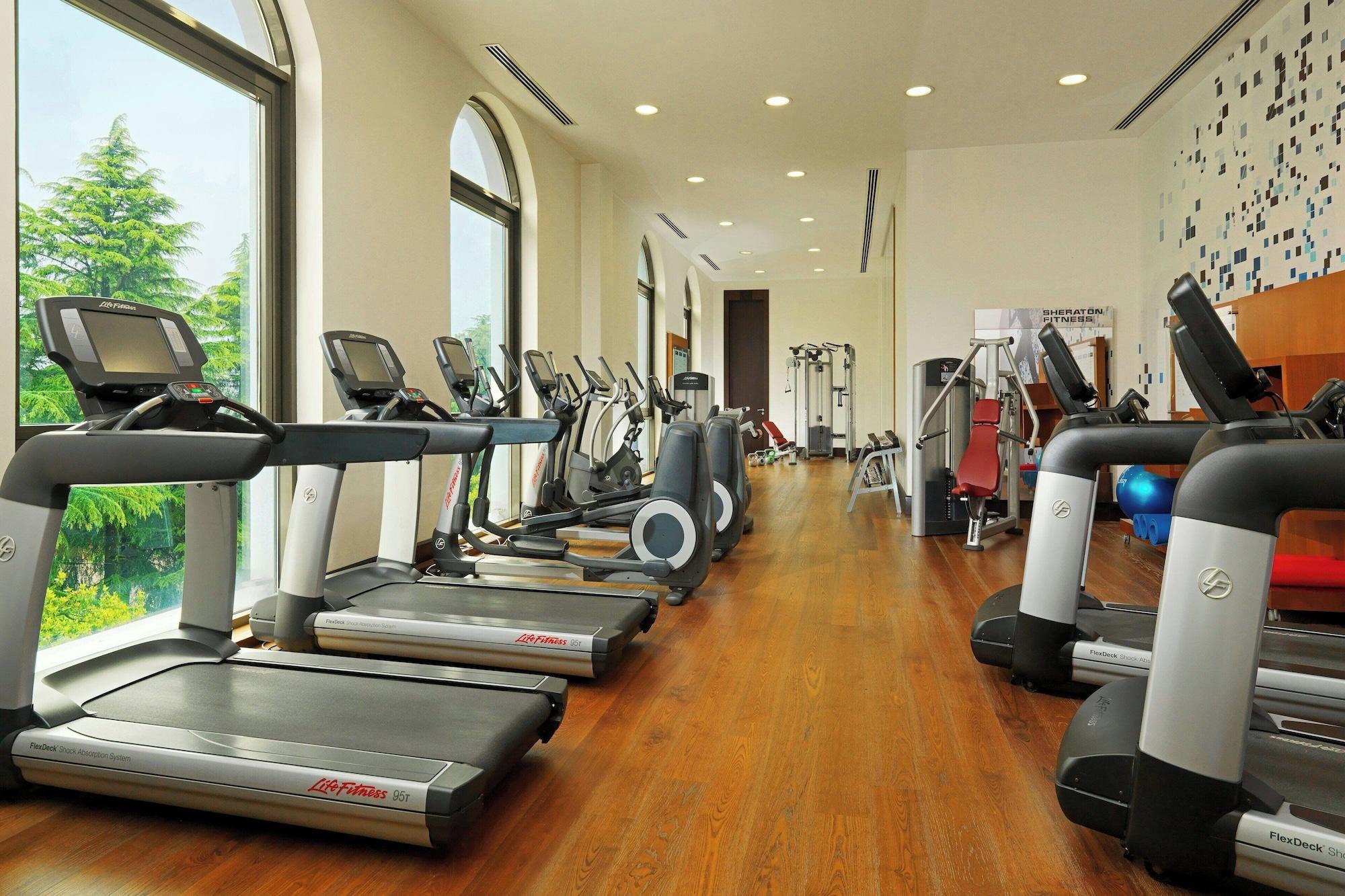 Gimnasio Sheraton Batumi Hotel
