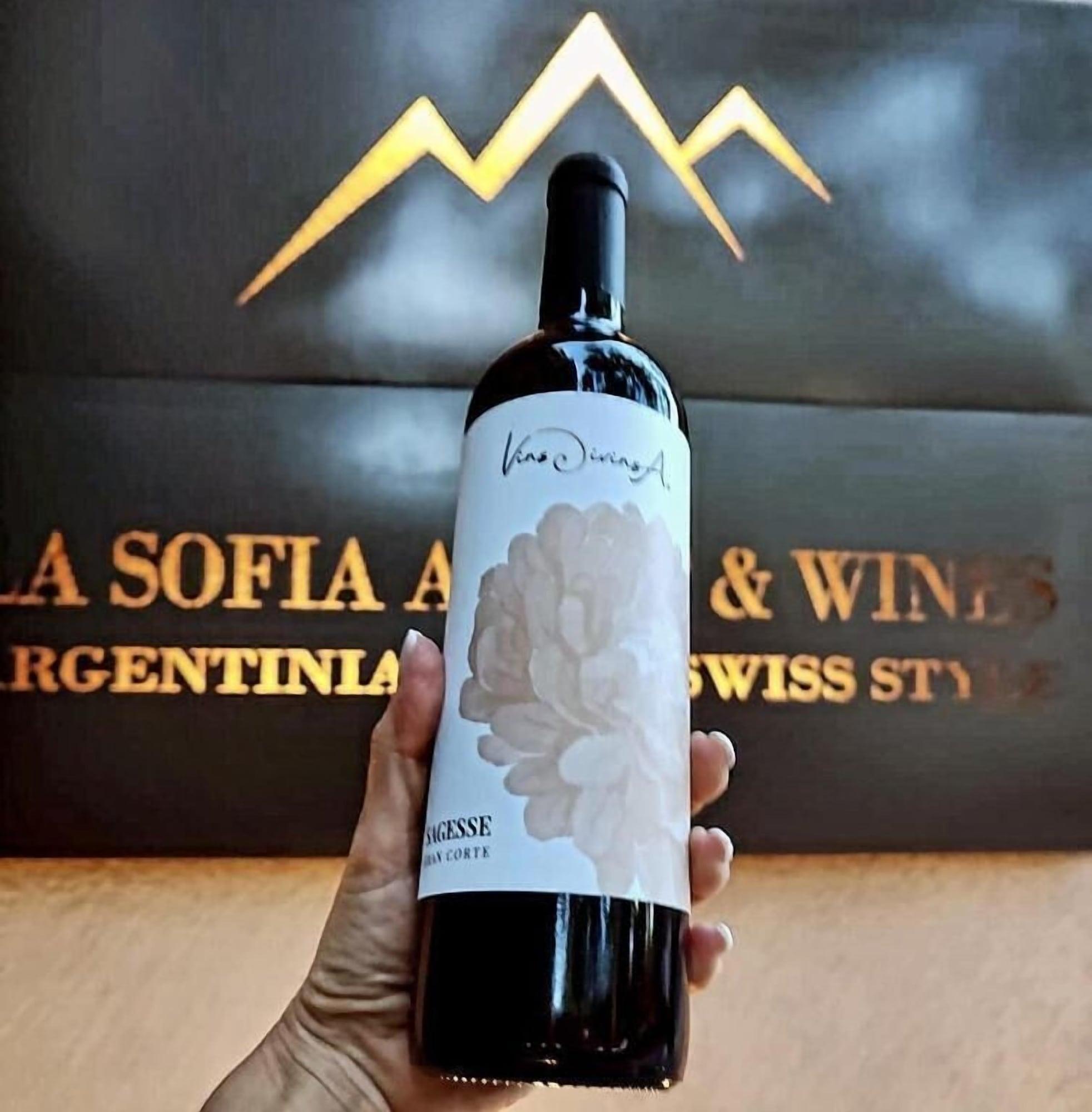 Comodidades del Alojamiento La Sofia Apart & Wines