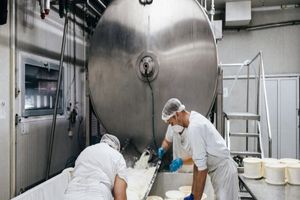 Actividad - Un viaje al corazón del Food Valley de Italia - Tour privado