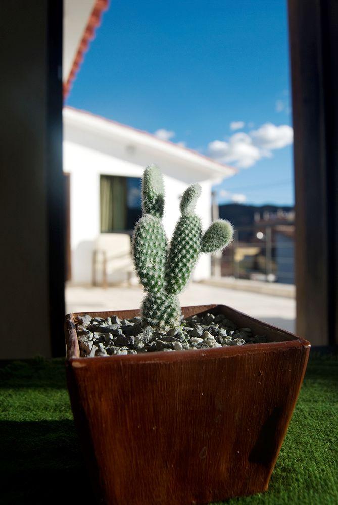 Comodidades del Alojamiento In Casita