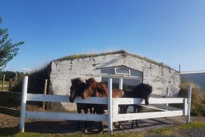 Alojamiento - Hotel Vos