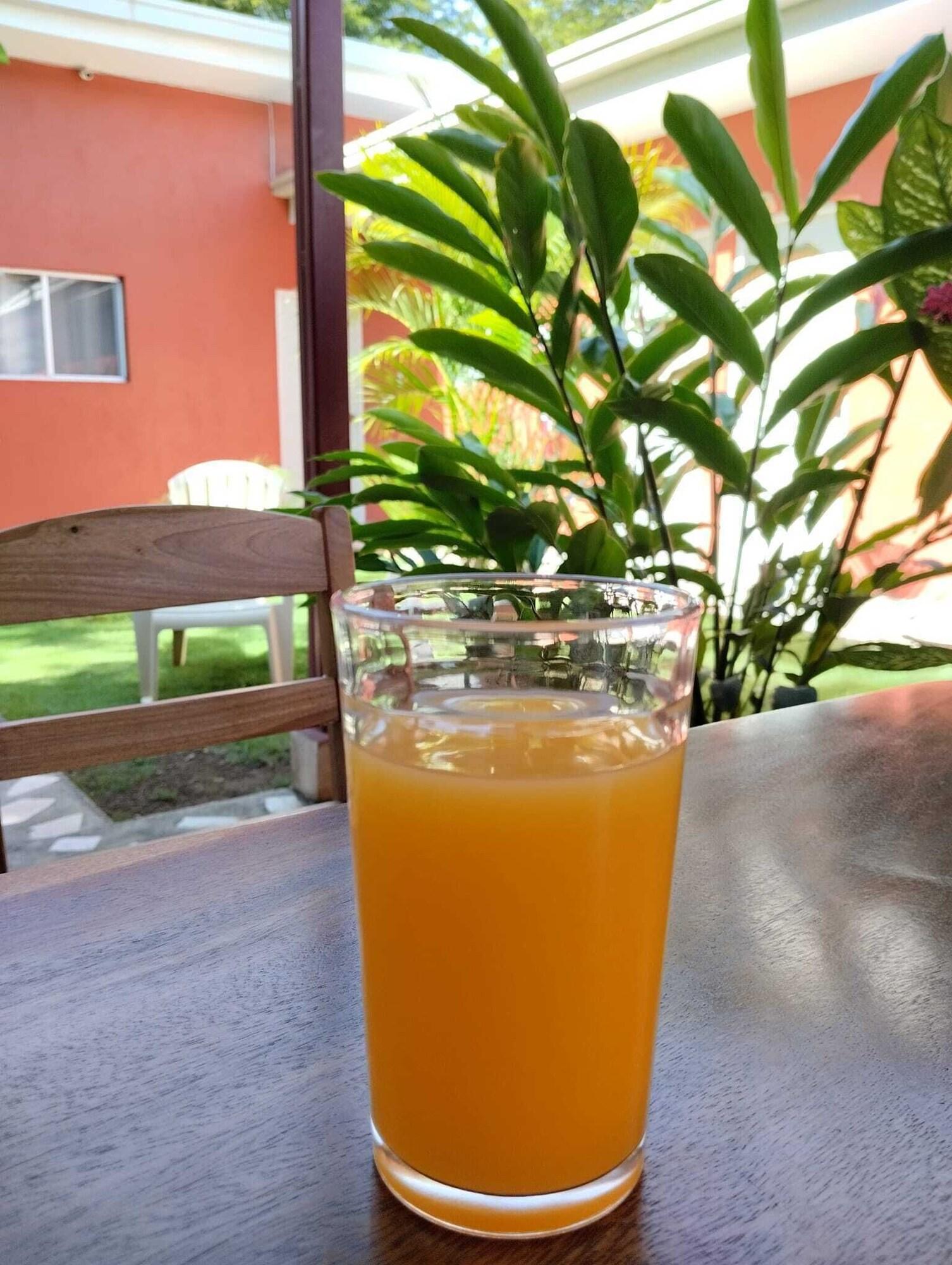 Comodidades del Alojamiento Hotel Munch