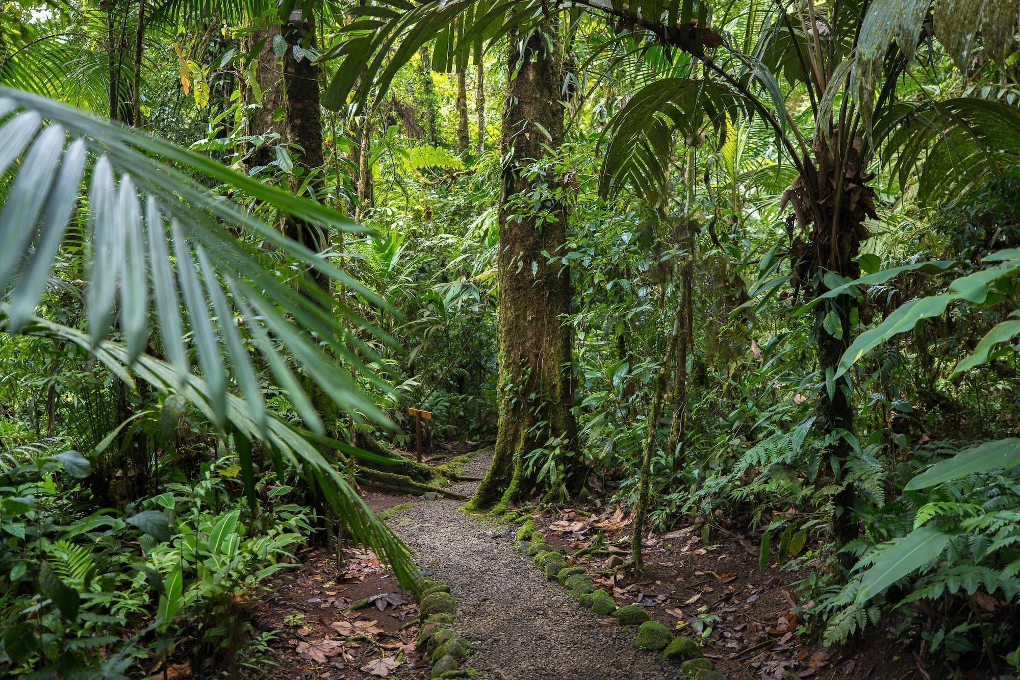 Vista Exterior Hideaway Rio Celeste