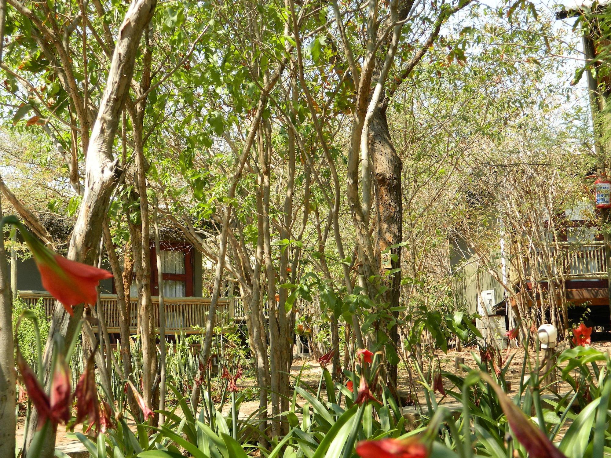 Vista Exterior Kwalape Safari Lodge