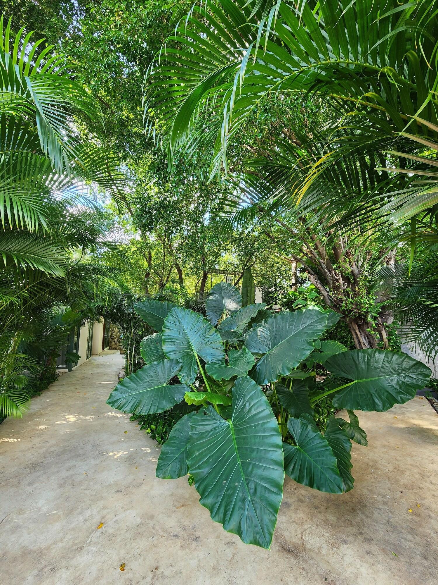 Varios Casona Origen