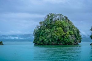 Actividad - Tour en kayak por el Parque Nacional Los Haitises