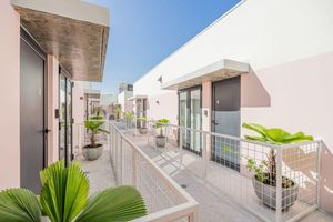 Alojamiento - w Homey 1BR in Casco Antiguo
