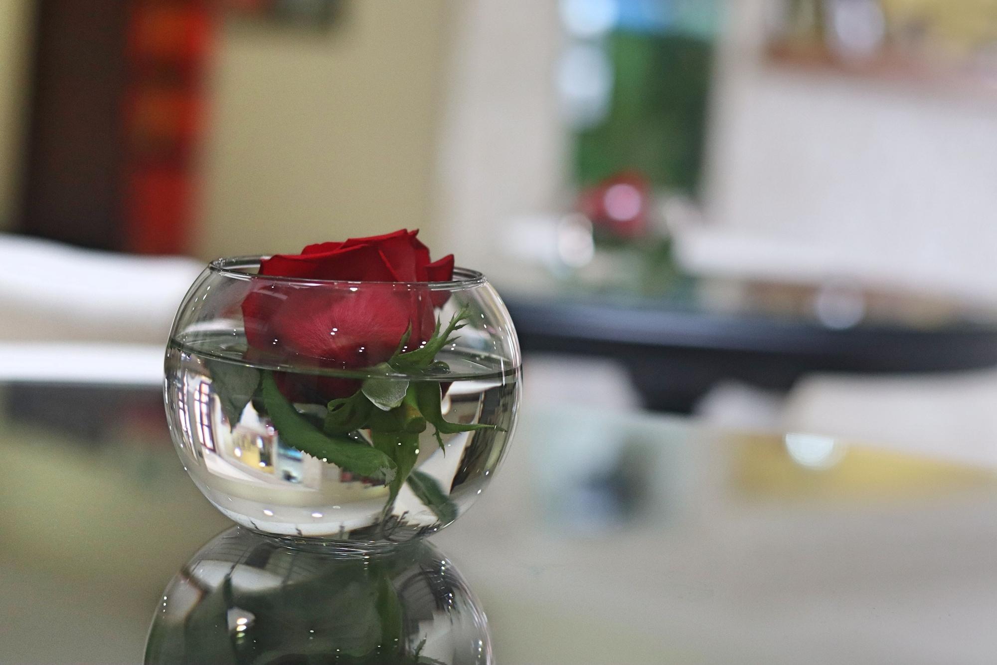 Vista Lobby Cora 96 Street Apartments