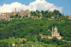 Actividad - Montepulciano Gran Tour by Panoramic Electric Mini-Bus