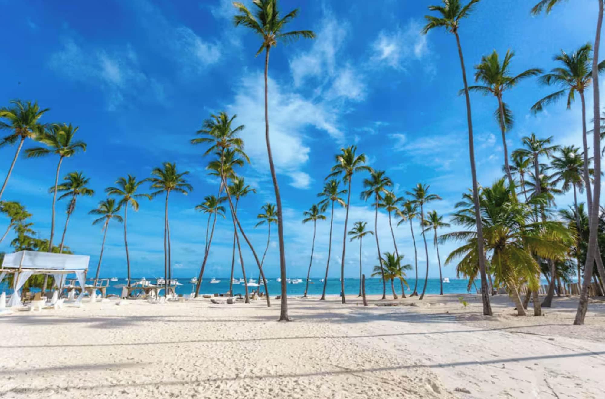 Varios TROPICAL RETREAT at PLAYA LOS CORALES