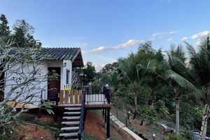 Alojamiento - Forest Guesthouse