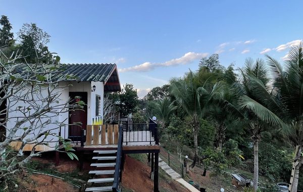 Forest Guesthouse