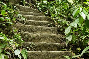 Actividad - Excursión a la Ciudad Perdida de Falan