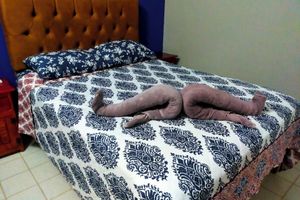 Alquiler Vacacional - Casa Soliman & Loft Soliman